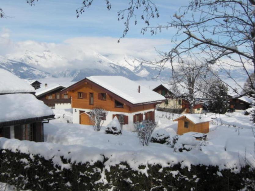Chalet Griffon