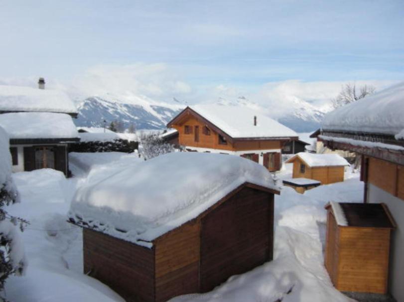 Griffon Chalet Nendaz