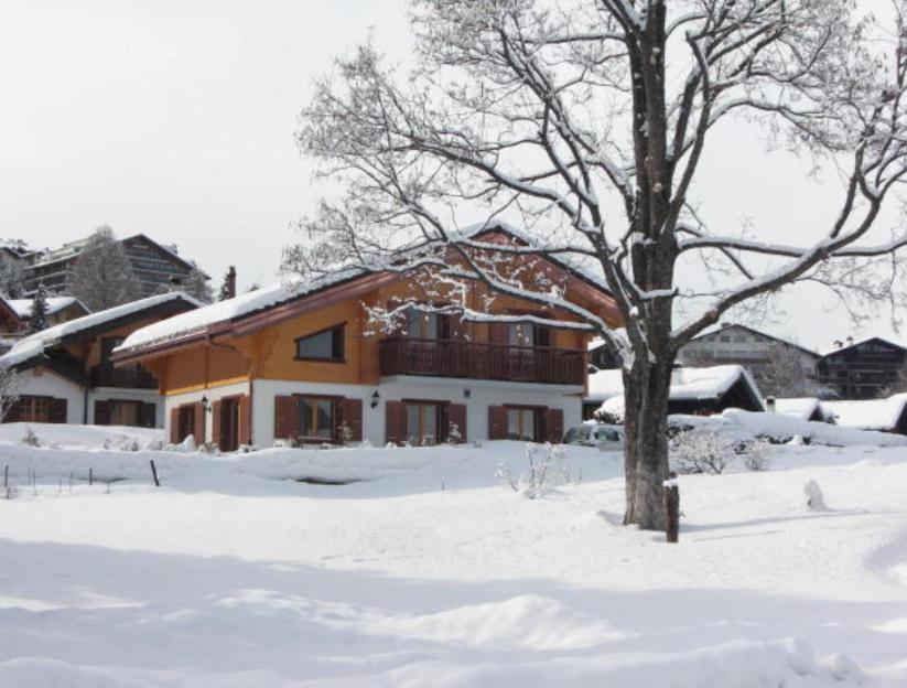 Griffon Chalet *