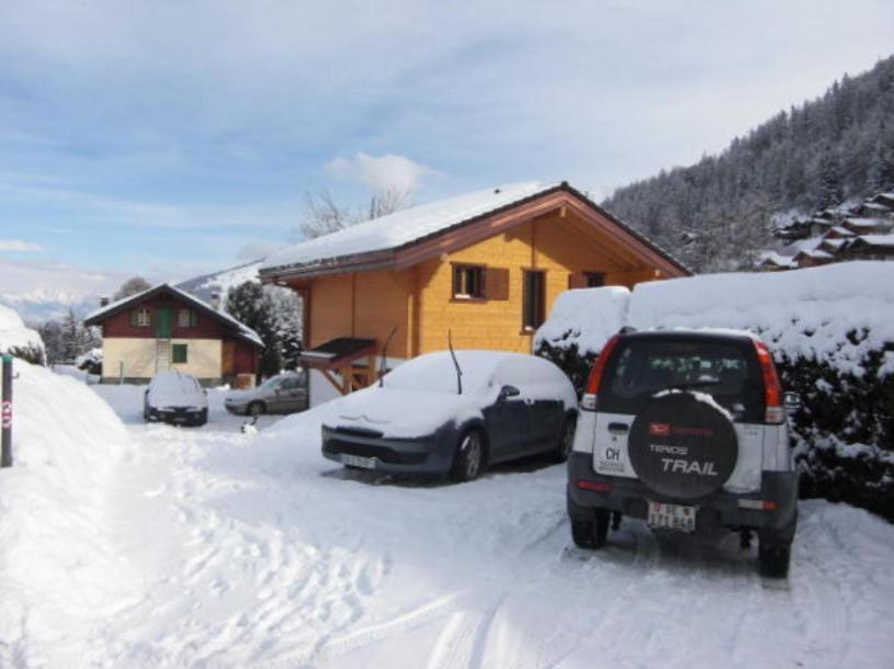 Griffon * Nendaz